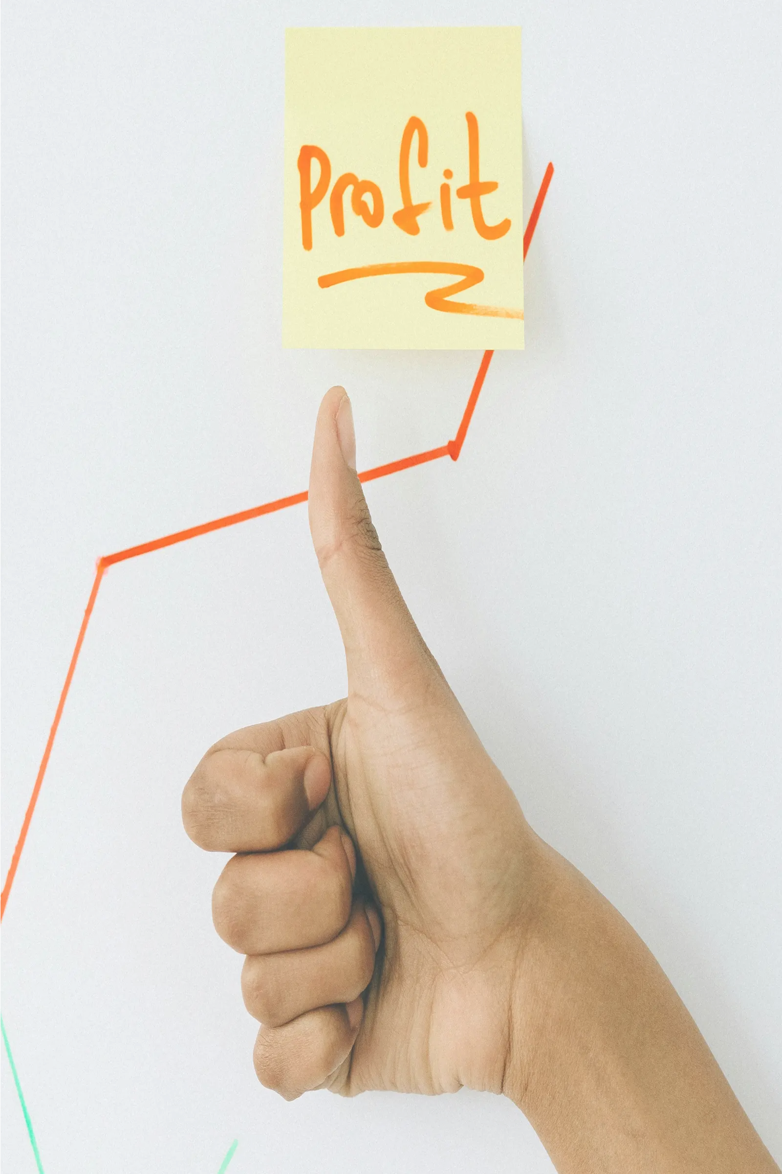 Beste WordPress webhosting interface